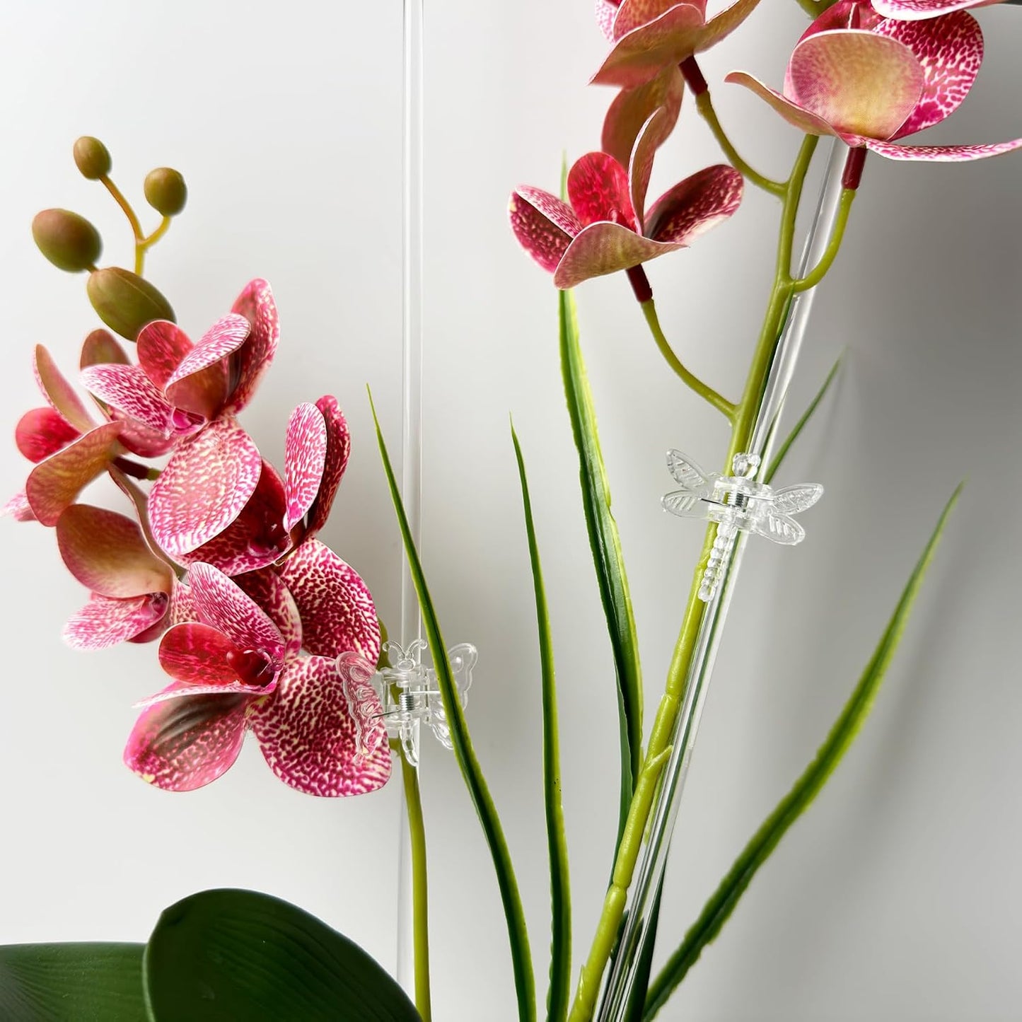30 Estacas Acrílicas para Orquídeas y 30 Clips Soporte