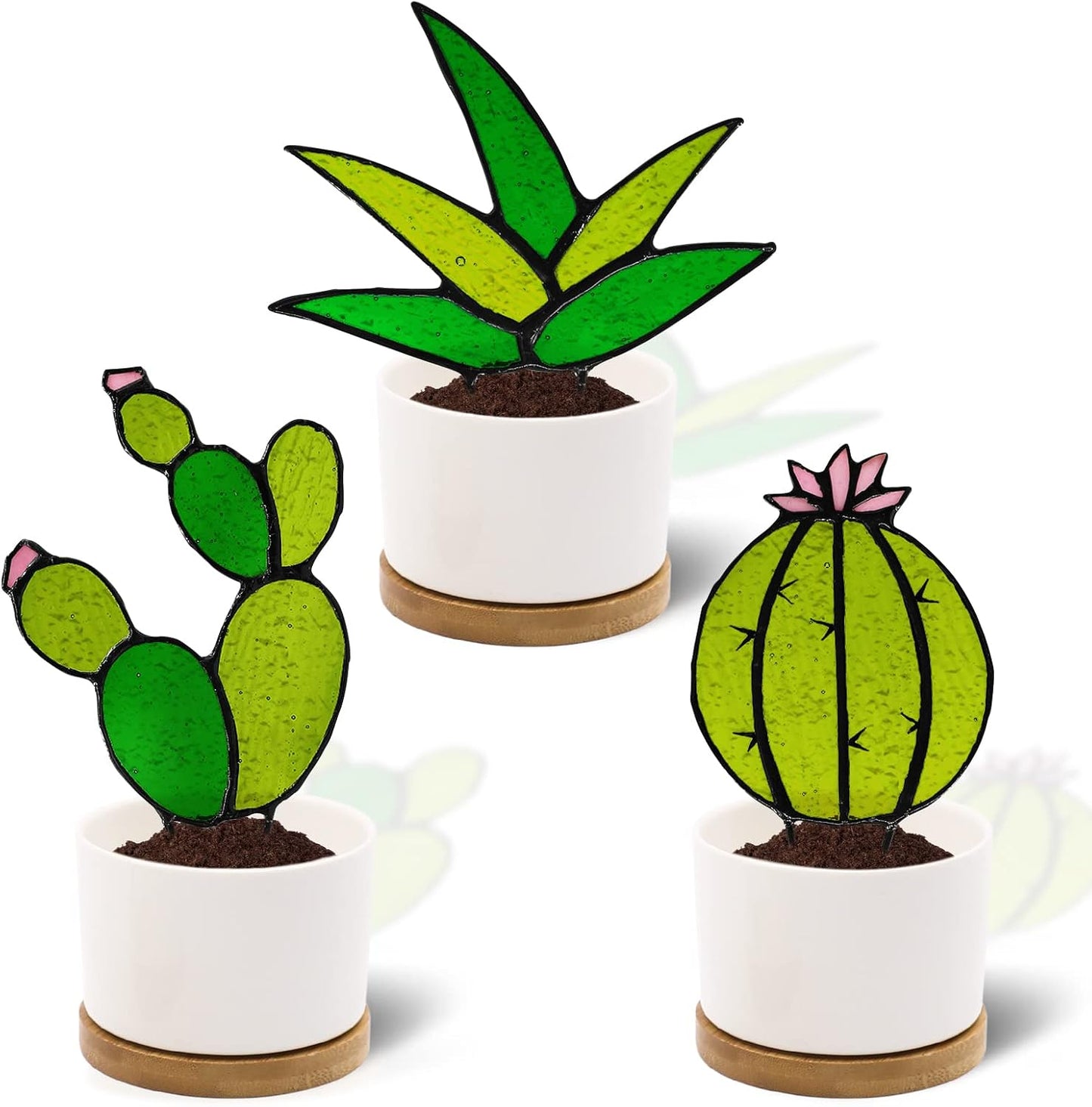 Decoración cactus cristal para escritorio y alféizar