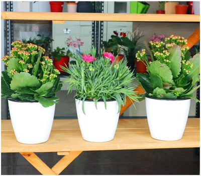 6 Macetas Riego Automático 3.5pulg Blancas para Plantas Hierbas