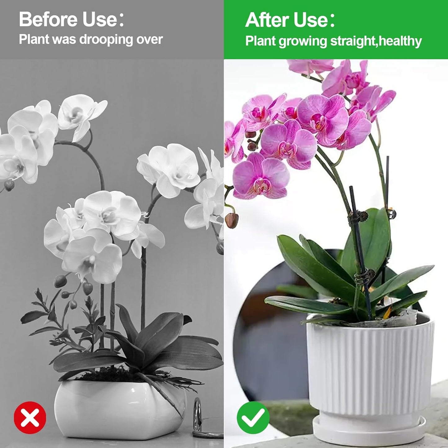 50 Pzas Clips para Plantas Orquídeas y Trepadoras