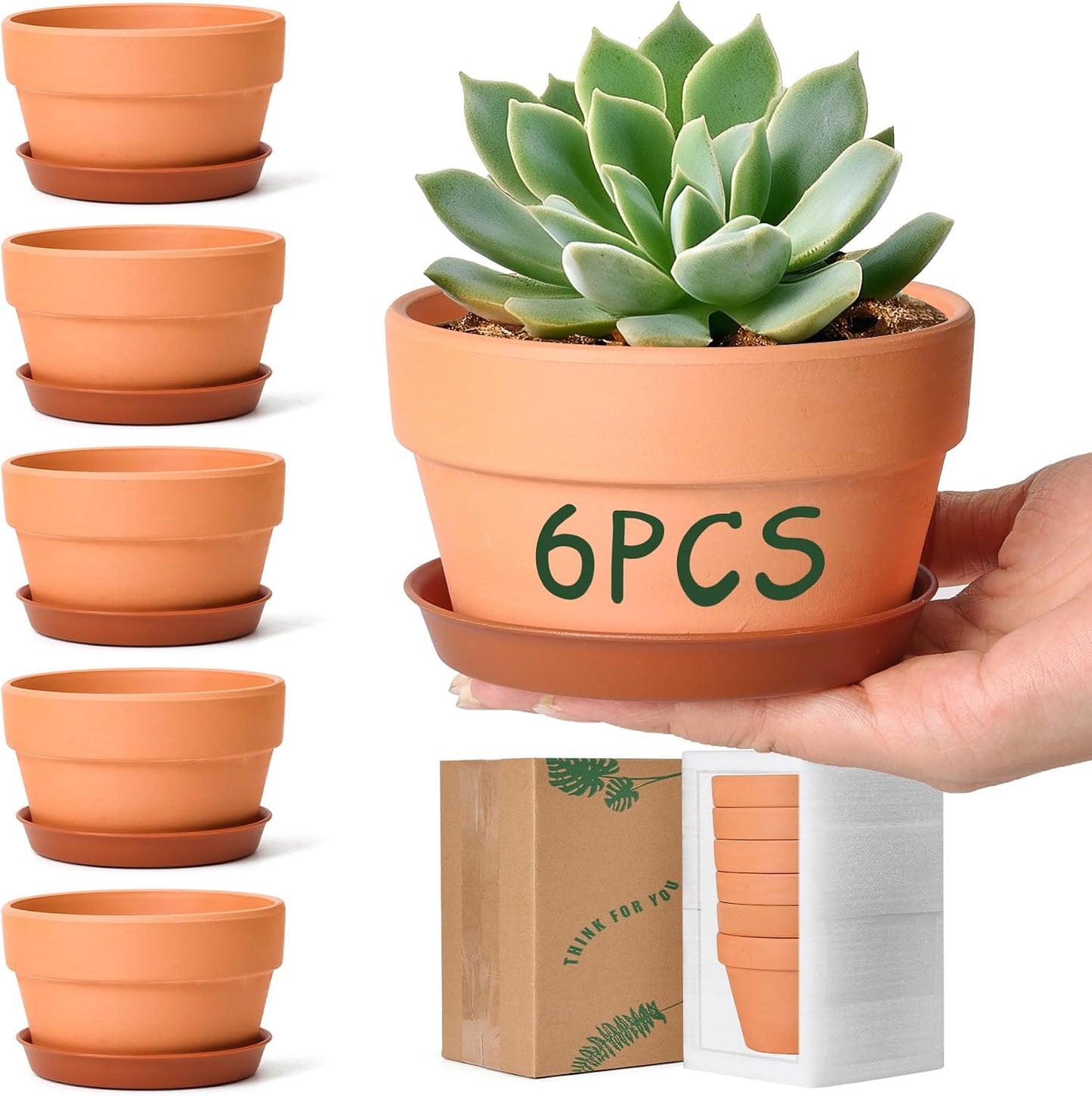 6 Macetas Terracota 4pulg con Agujeros Drenaje para Cactus
