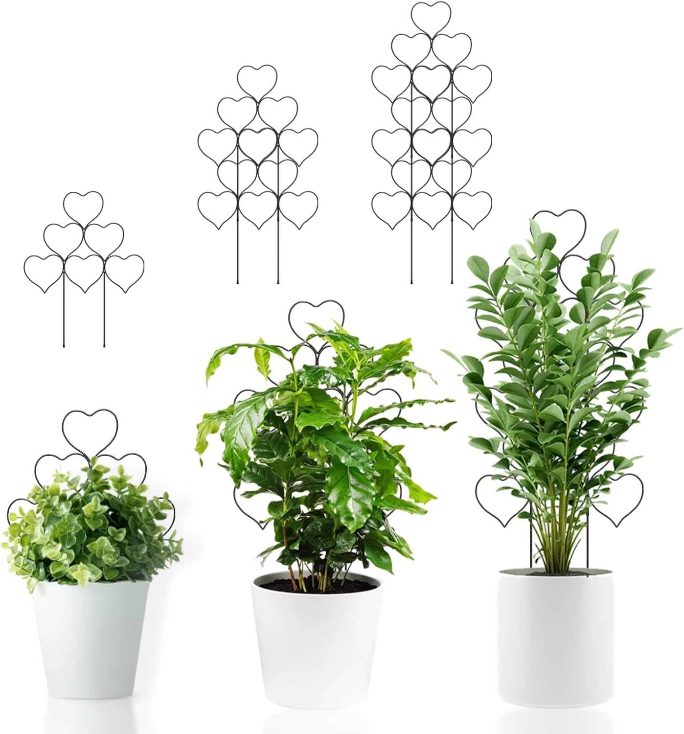 Soporte plantas enrejado corazón 14pulg inox negro