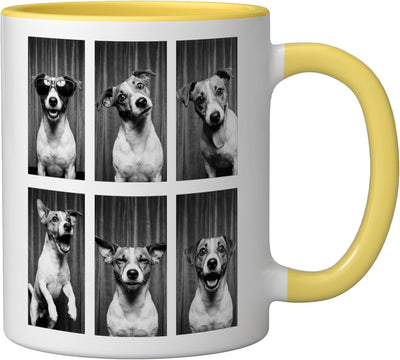 Taza Cerámica Jack Russell Perro Fotografía Amarillo Blanco