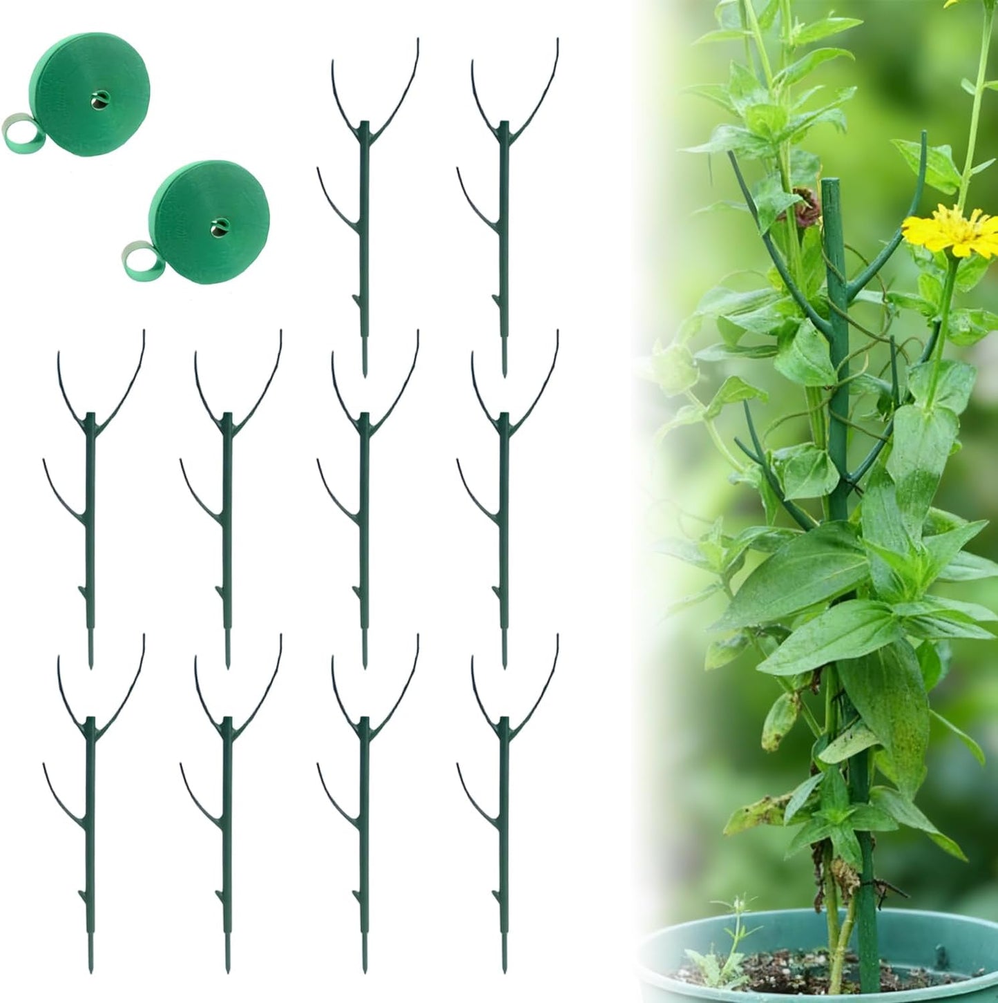 10 Soportes Apilables para Plantas Monstera Interior Exterior