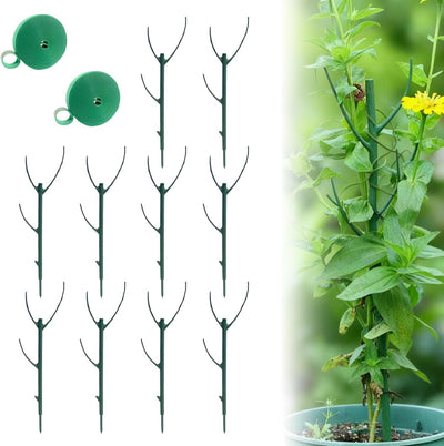 10 Soportes Apilables para Plantas Monstera Interior Exterior