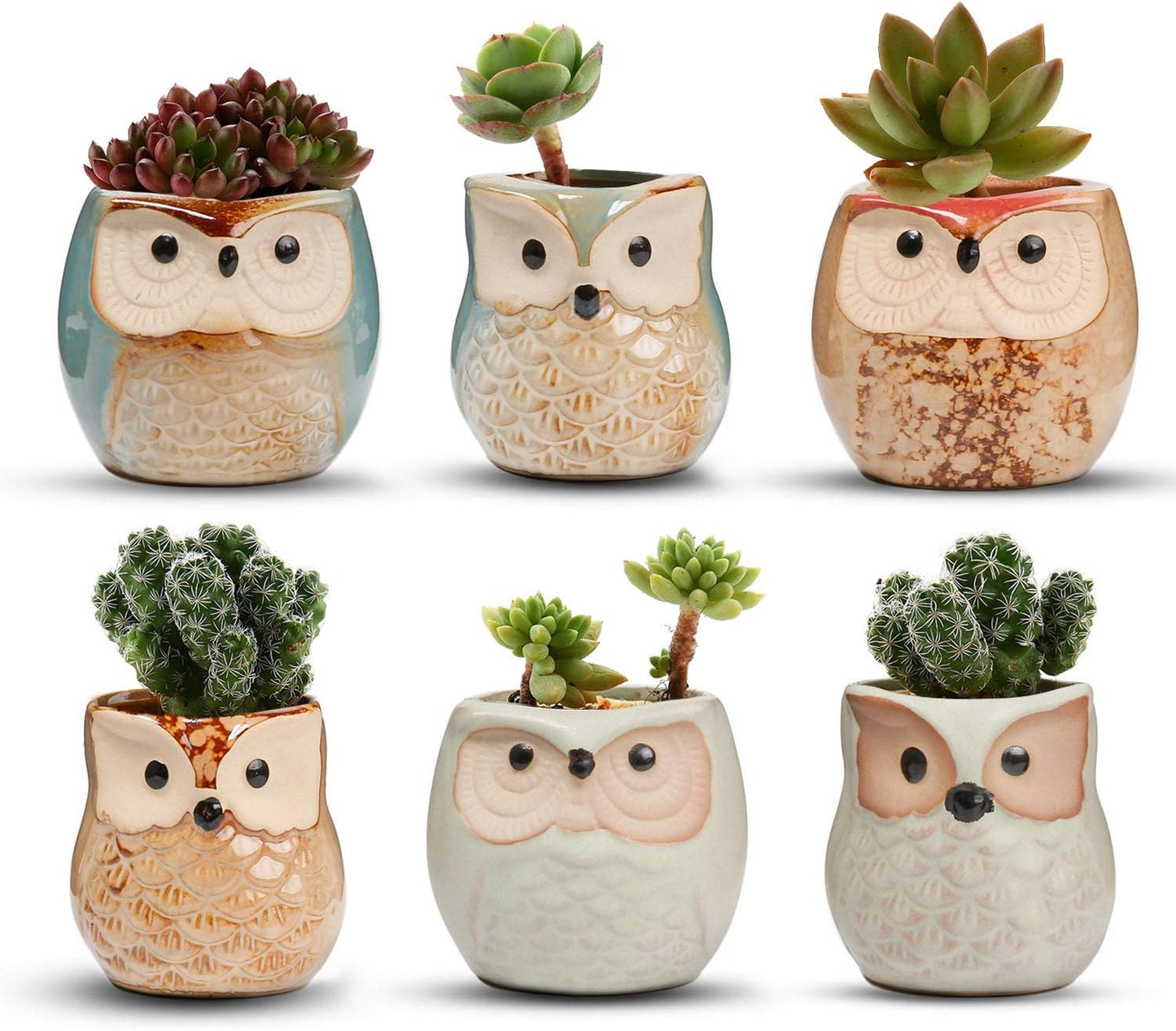 Macetas cerámica suculentas 2.5pulg set 6 decoración hogar