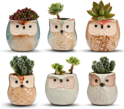 Macetas cerámica suculentas 2.5pulg set 6 decoración hogar