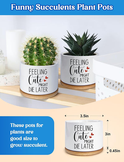 Macetas cerámica para suculentas y cactus regalo