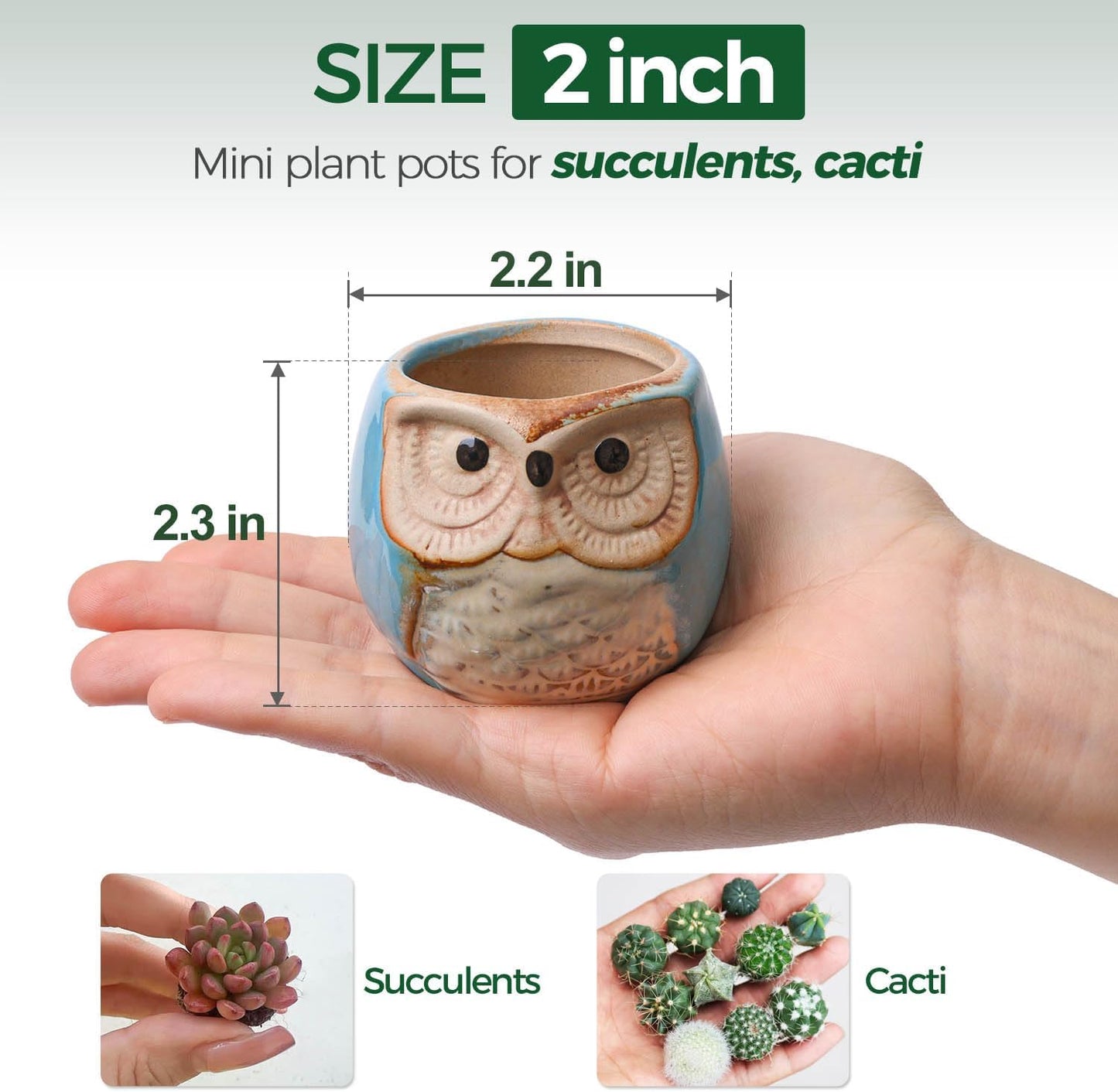 Macetas cerámica suculentas 2.5pulg set 6 decoración hogar