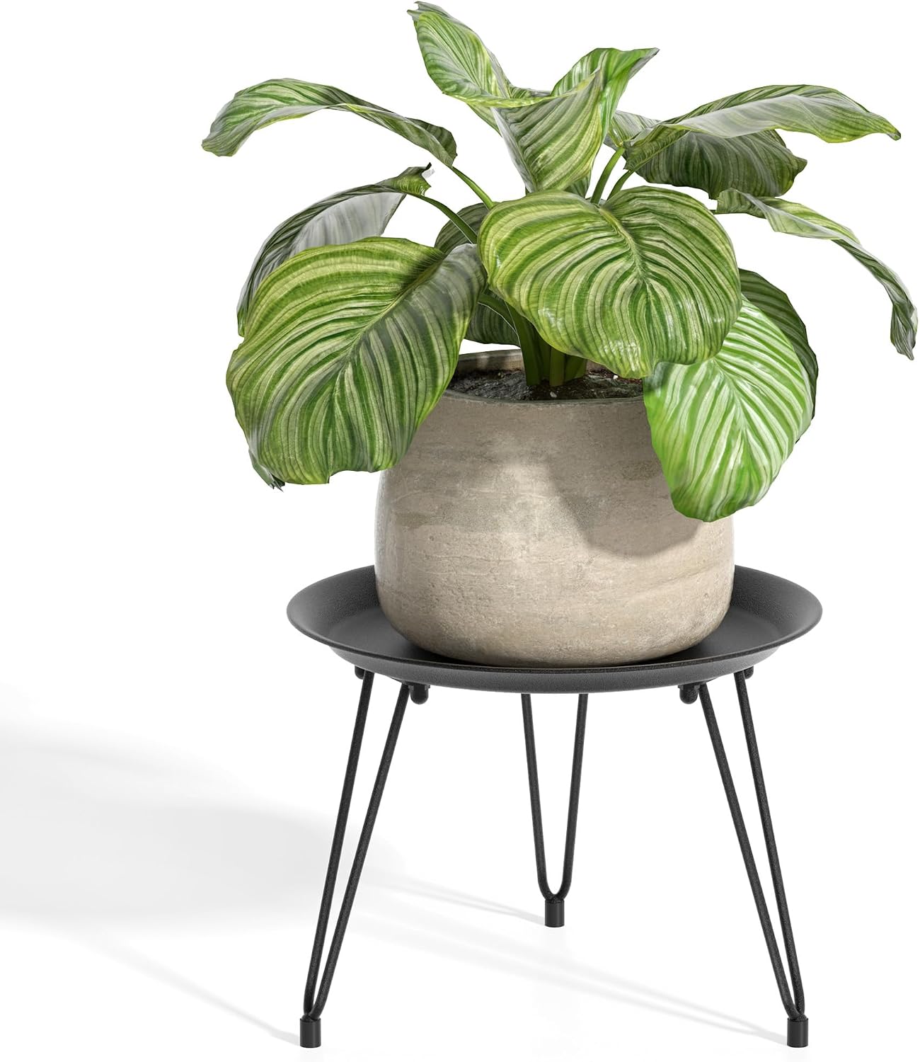 Soporte plantas metal mesa redonda decoración hogar