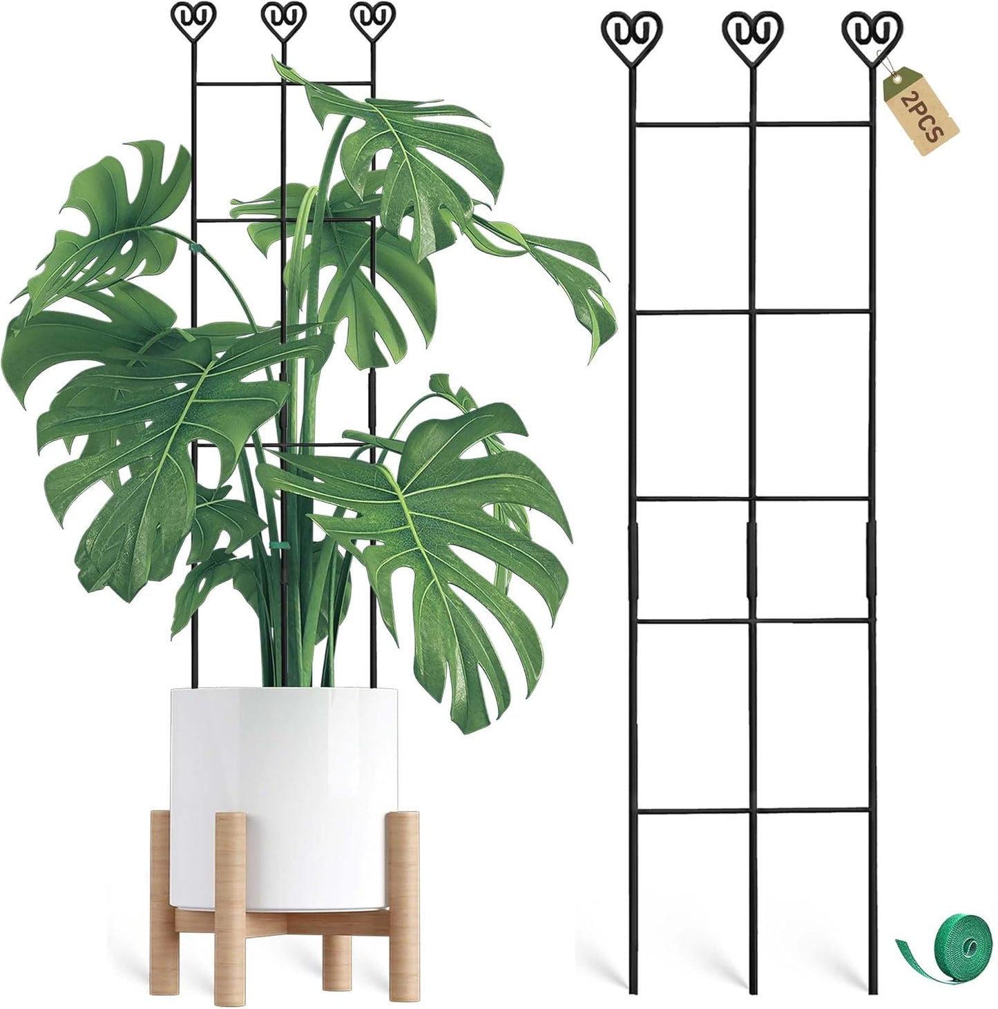 2 Estacas Monstera 32pulg Soporte Metal Trepadores