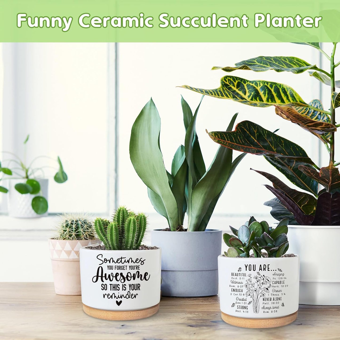 Maceta Cerámica 3.5pulg para Suculentas y Cactus Escritorio