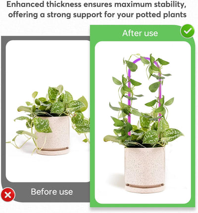 3 Enrejados Acrílicos Coloridos para Plantas en Maceta