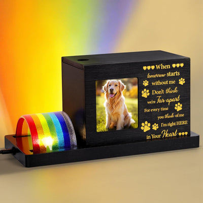 Urna con luz LED para mascotas con marco de fotos personalizado