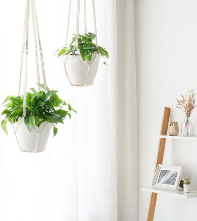 Colgador macramé para plantas 12pulg cuerda algodón tejida
