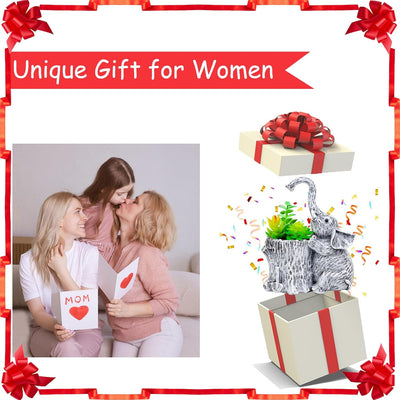 Macetas para suculentas regalo para mujer jardinero