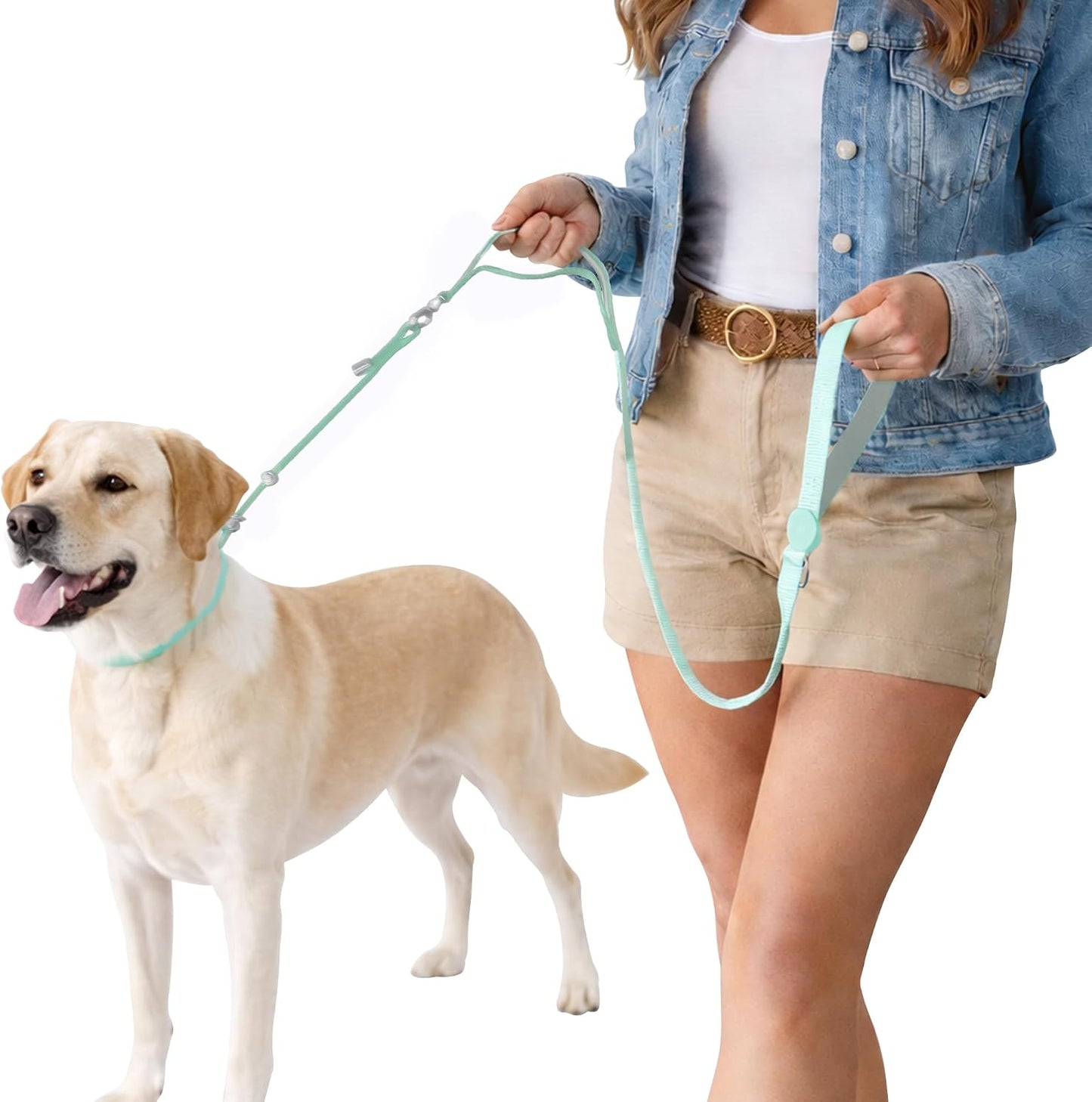 Correa antideslizante para perro asas dobles giratoria