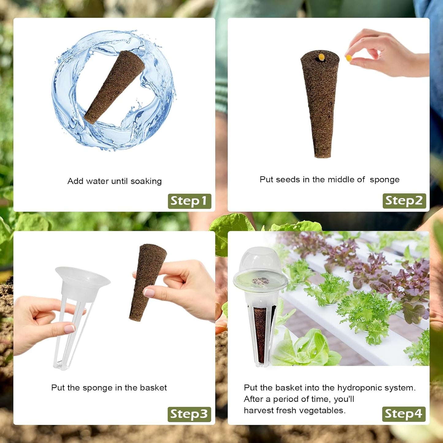 Kit Cultivo Hidropónico Cestas Vainas Accesorios