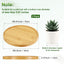 2 Pzas Platillos Bambú para Maceta 5.91pulg Beige