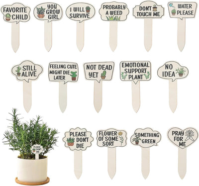 15 Letreros Madera para Plantas Jardín Estacas Decorativas