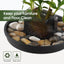Platillo plástico para plantas 8-14pulg set 2
