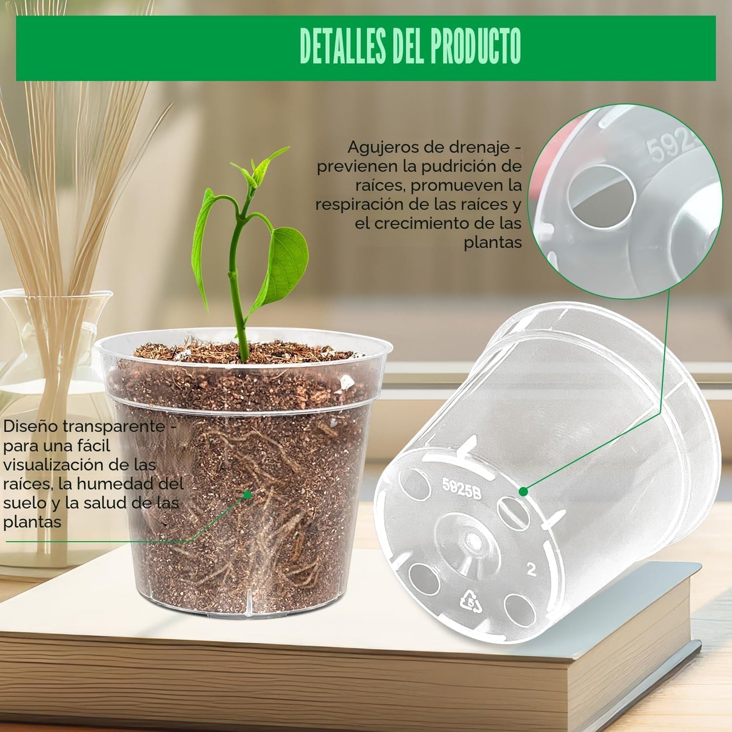 50 Macetas Plástico Resistente 2.5pulg para Plantas
