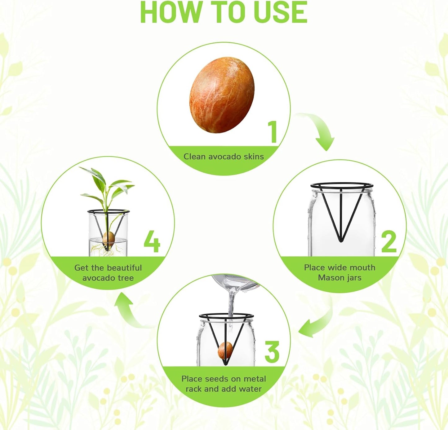 4 Soportes Jarrones Propagación Plantas