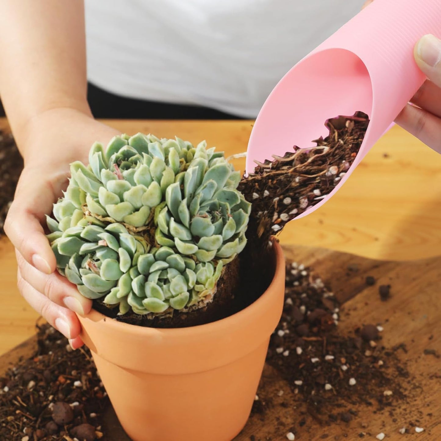 6 Pzas Palas Plástico Jardín Bonsái Mini Cucharas Coloridas