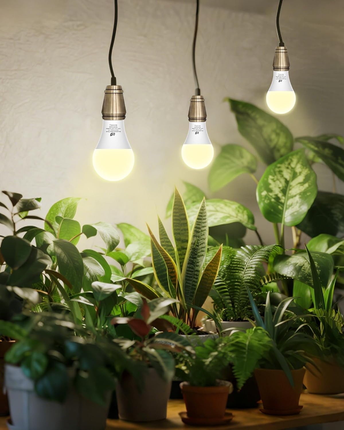 Bombilla LED A19 espectro completo para plantas interior E26 11W