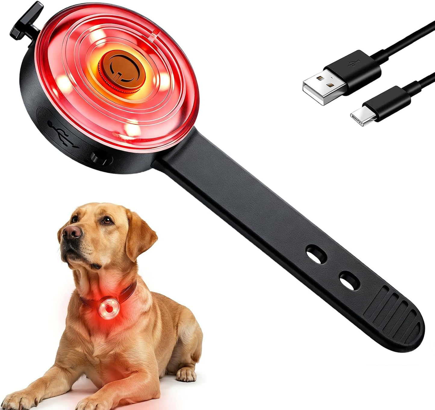 Luz LED para collar perro IPX7 recargable USB-C 4 colores