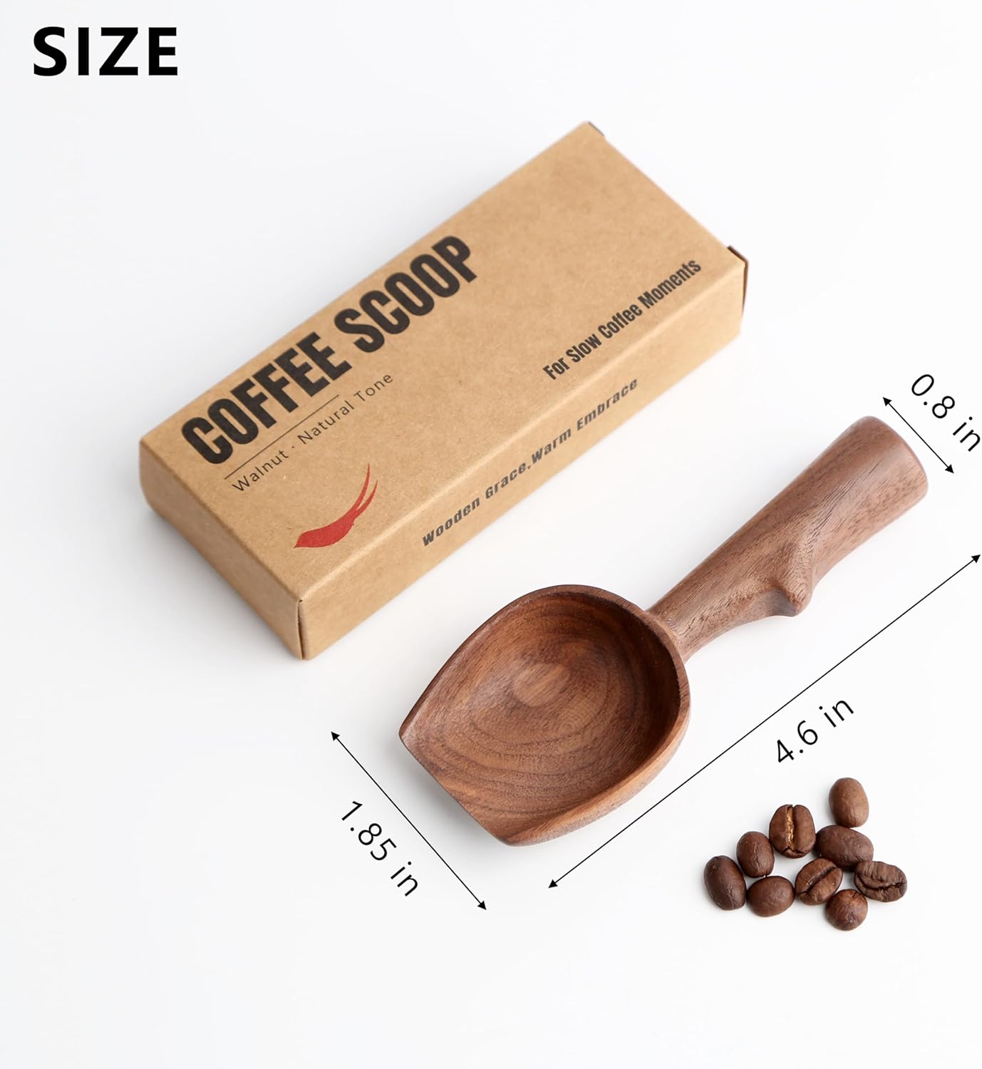 Cuchara medidora de grano de café de nogal natural para té, azúcar y polvo