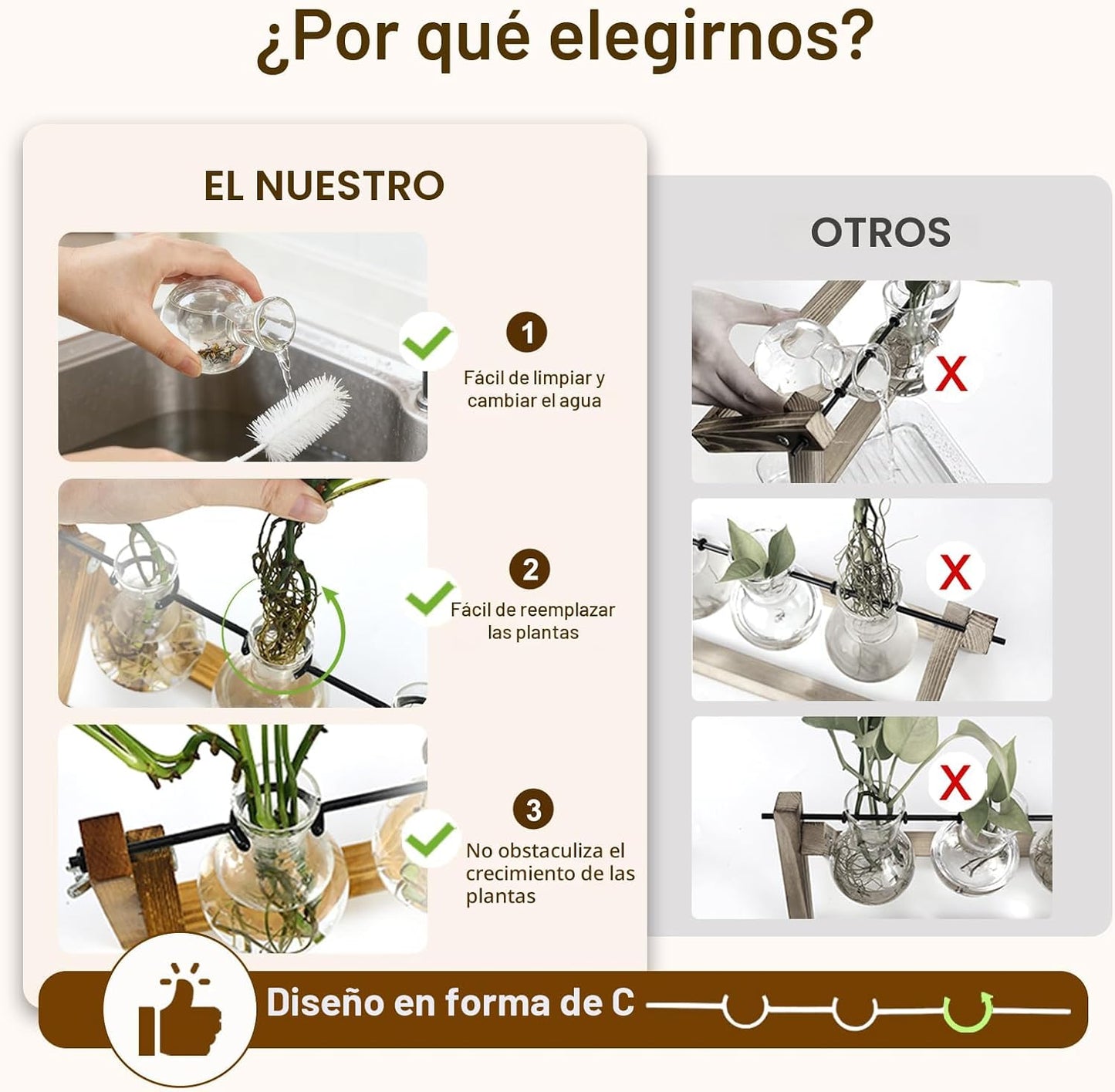 Estación propagación plantas 3 jarrones vidrio oficina