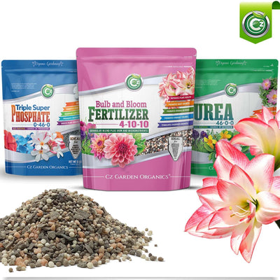 Fertilizante bulbos flores 2% hierro alimento plantas jardín