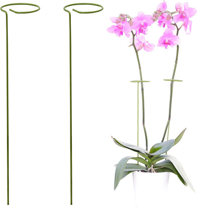 2 Estacas Verdes para Plantas y Flores Altas Jardín