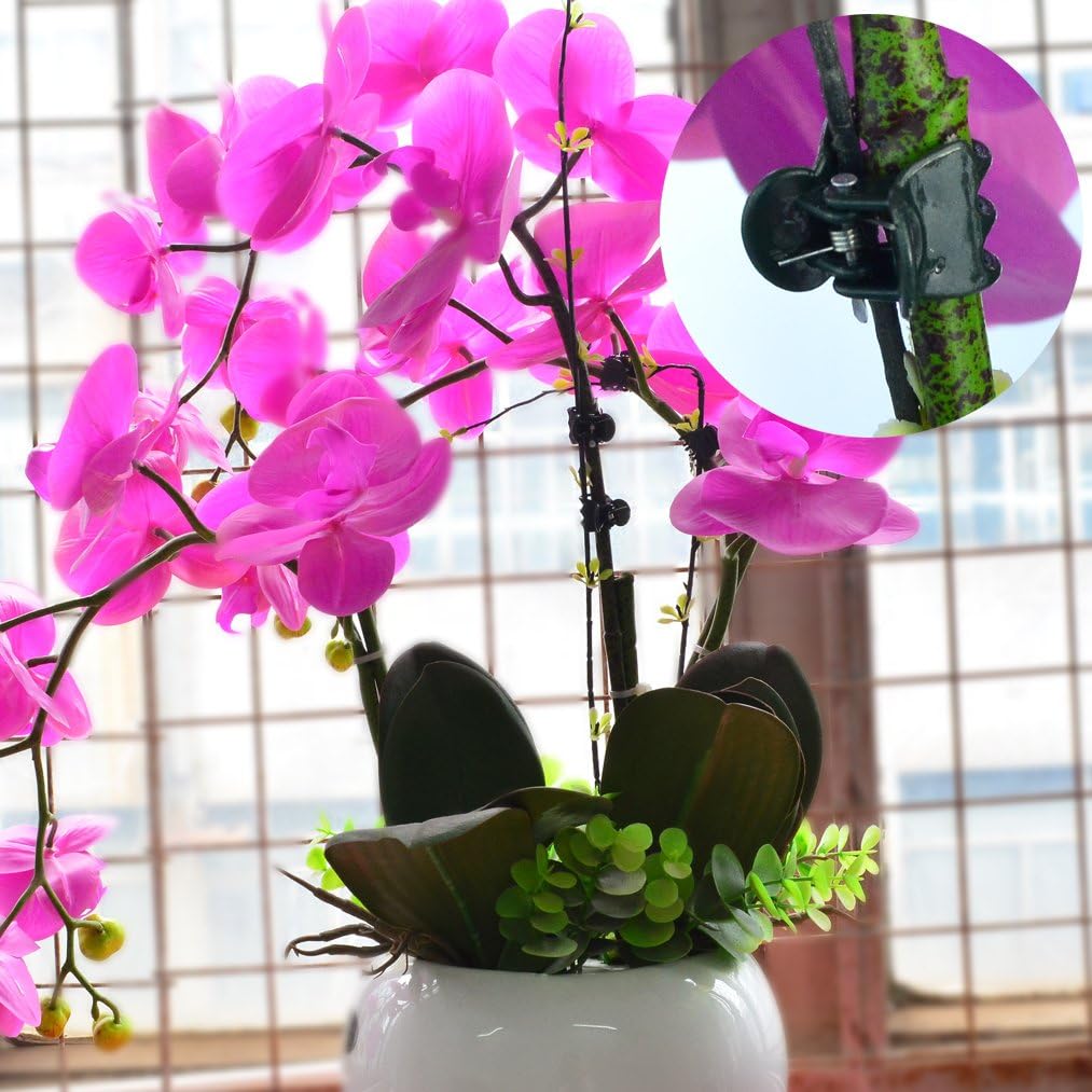 100 Clips Orquídeas Soporte Tallos Verticales Verde Oscuro