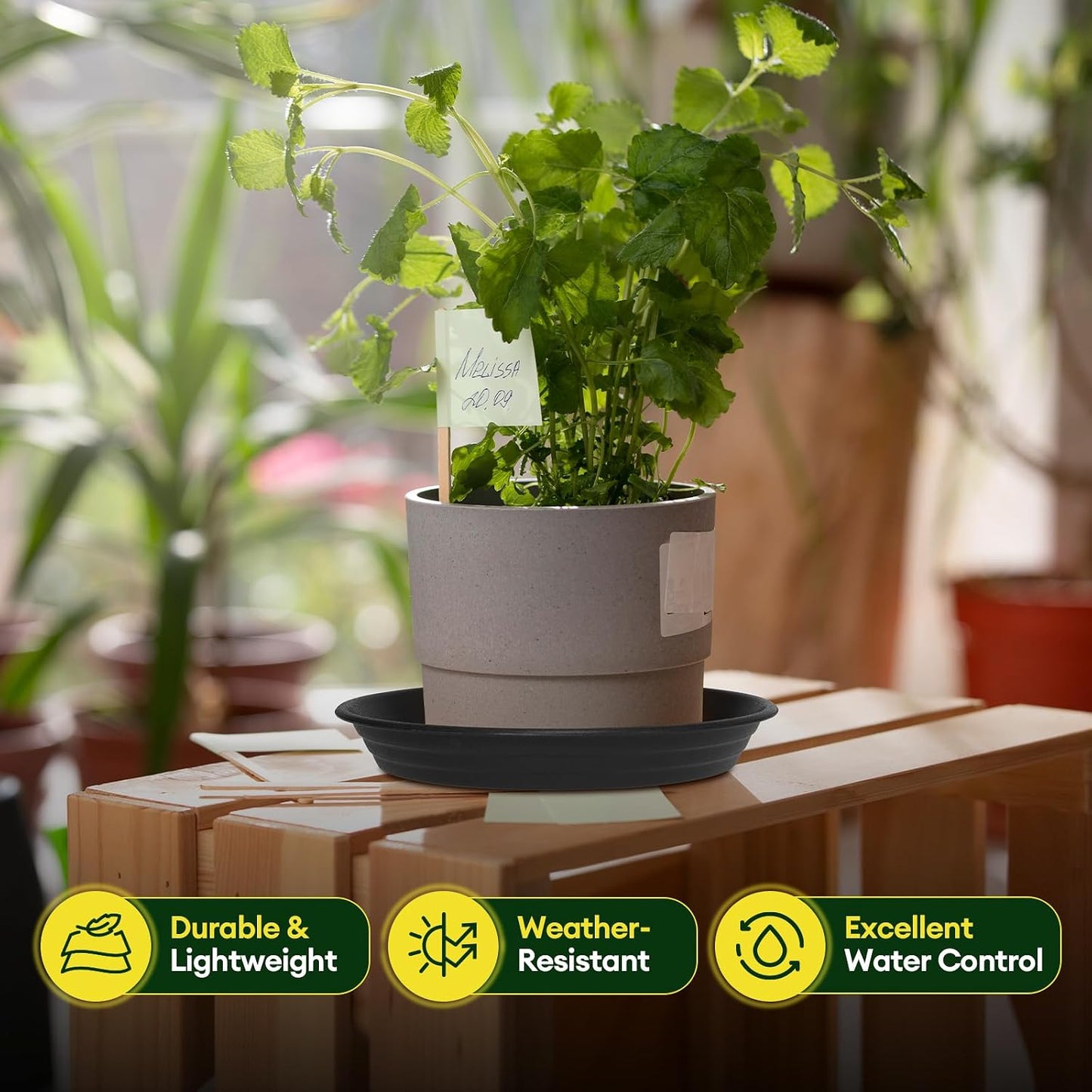 6 Pzas Bandejas Plástico 8-12pulg para Plantas Negro
