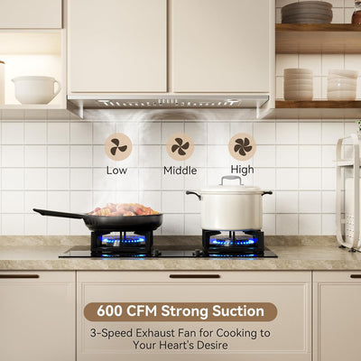 Campana extractora acero inox 30pulg 600CFM 3 velocidades