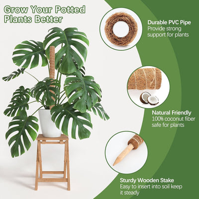 Soporte Monstera poste musgo 26pulg con cuerda y etiqueta