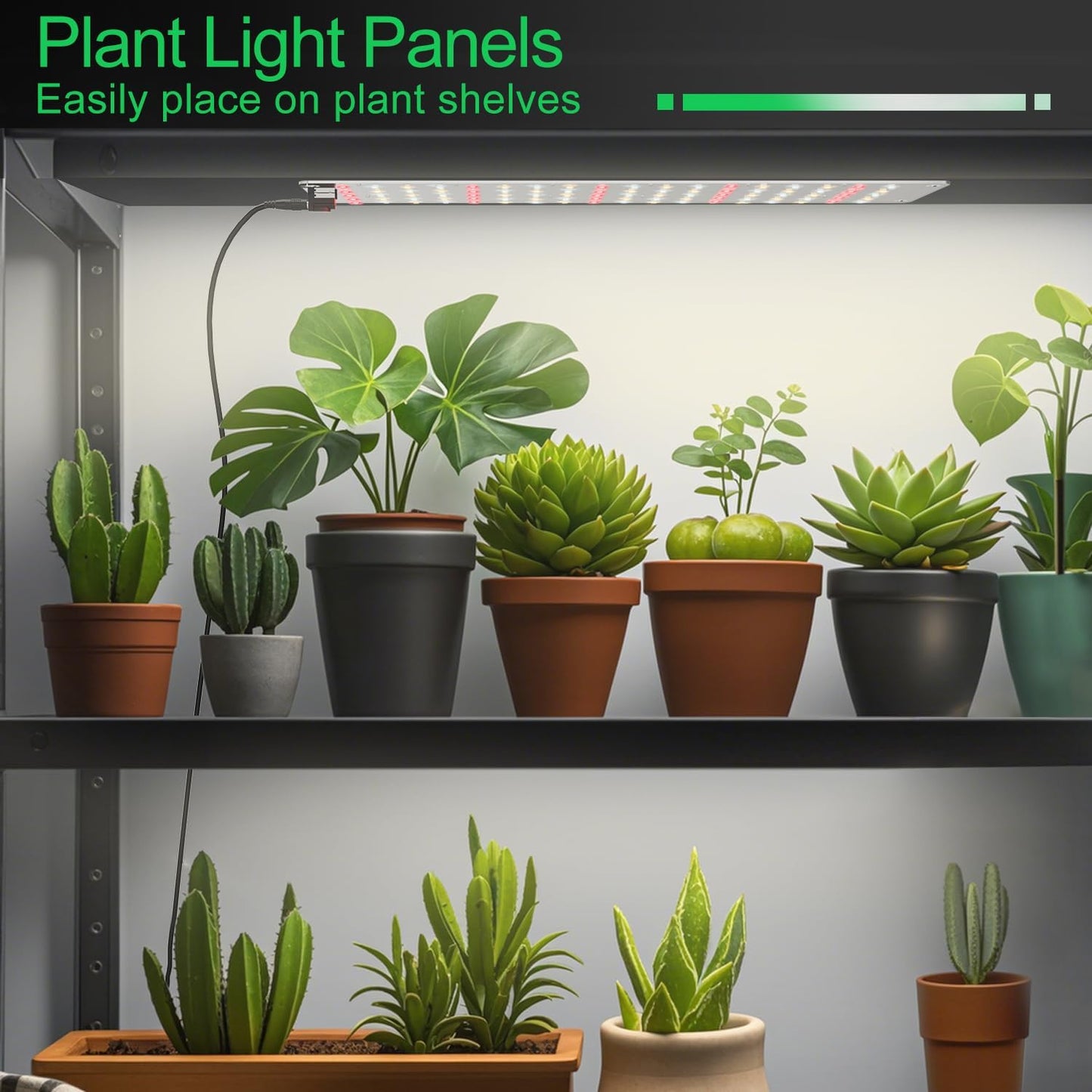 Luz LED cultivo interior 40W 360 luces espectro completo