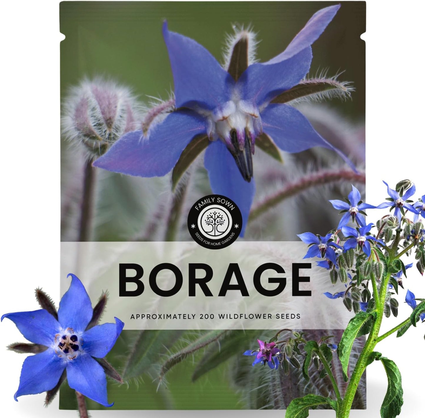 Borraja 200 semillas bolsa 0.18oz temporada 2026