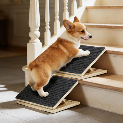 Rampa plegable antideslizante para perros y personas mayores
