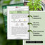 Semilla albahaca verde paquete instrucciones plantar jardín hierbas