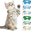 6 Collares Gato con Pajarita y Campanilla Ajustables