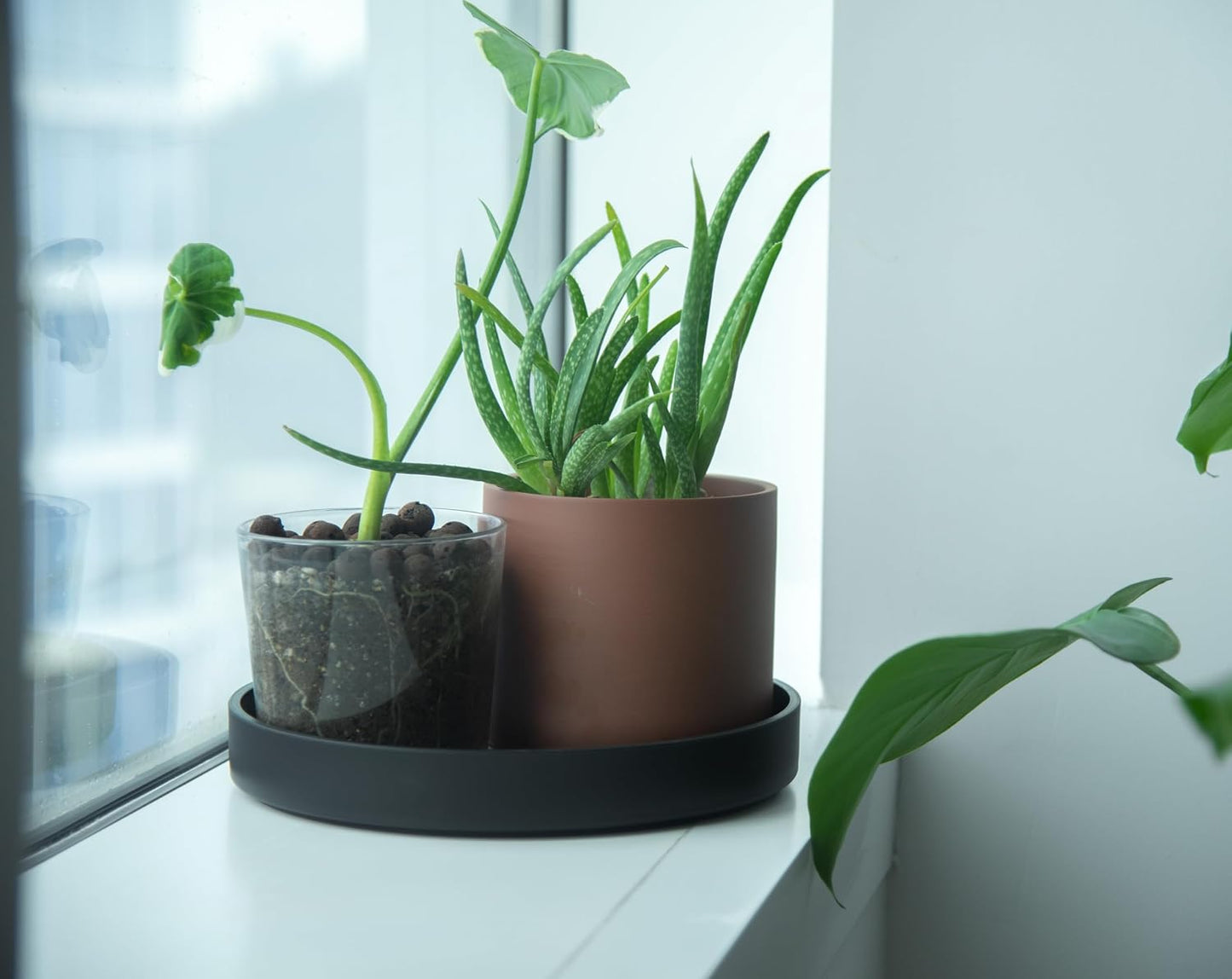Platillo Plástico 10pulg Bandeja Drenaje Plantas Negro Mate