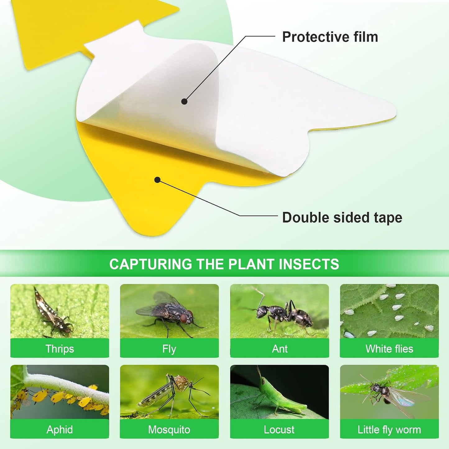 40 Trampas Amarillas Adhesivas para Mosquitos Interiores