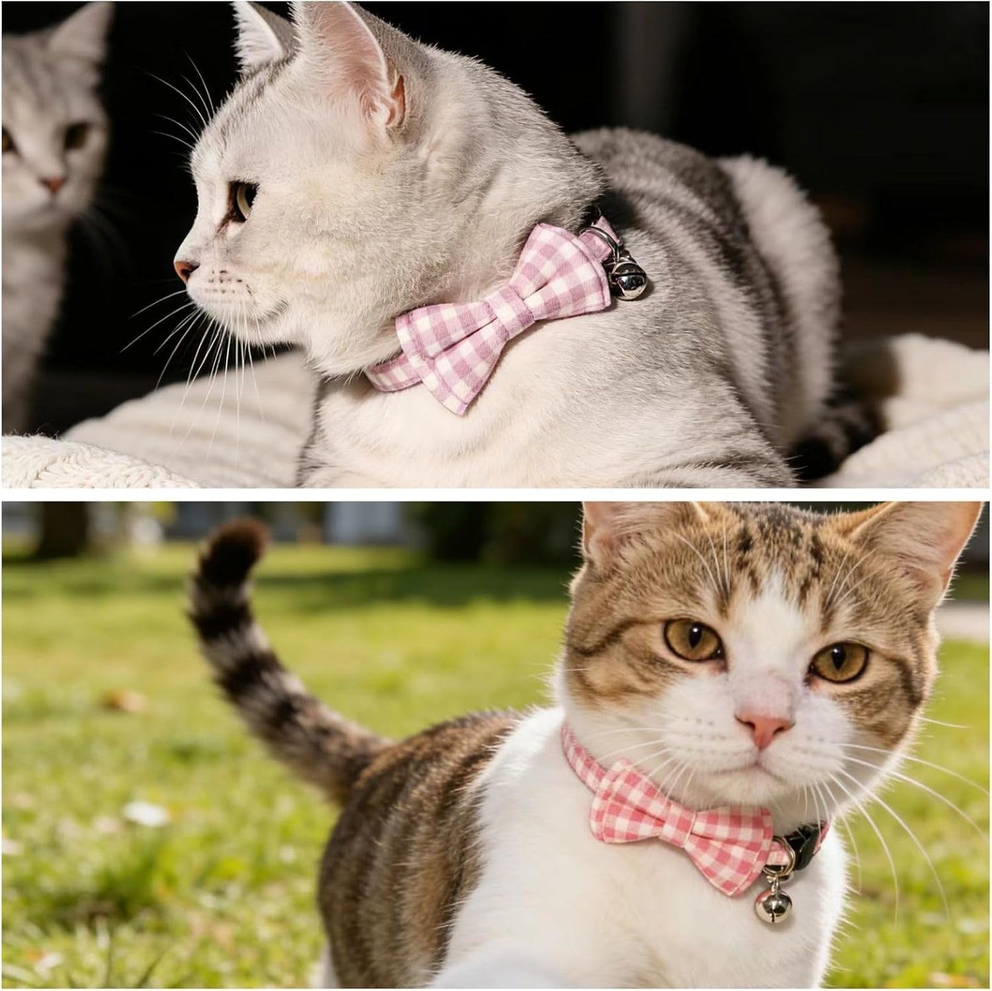 Collar gato pajarita ajustable seguros 7-11pulg rosa