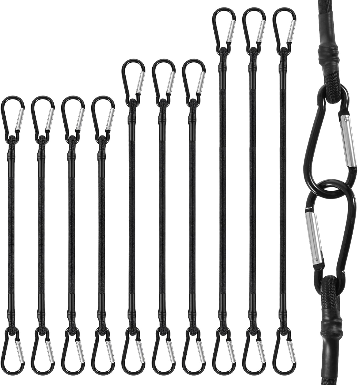 Pack 10 cuerdas elásticas con mosquetón negro resistente UV