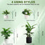 5 Estacas Apilables Soporte Plantas Trepadoras Interior Exterior