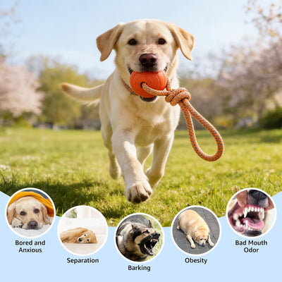 Juguetes flotantes para perros medianos y grandes de goma EVA