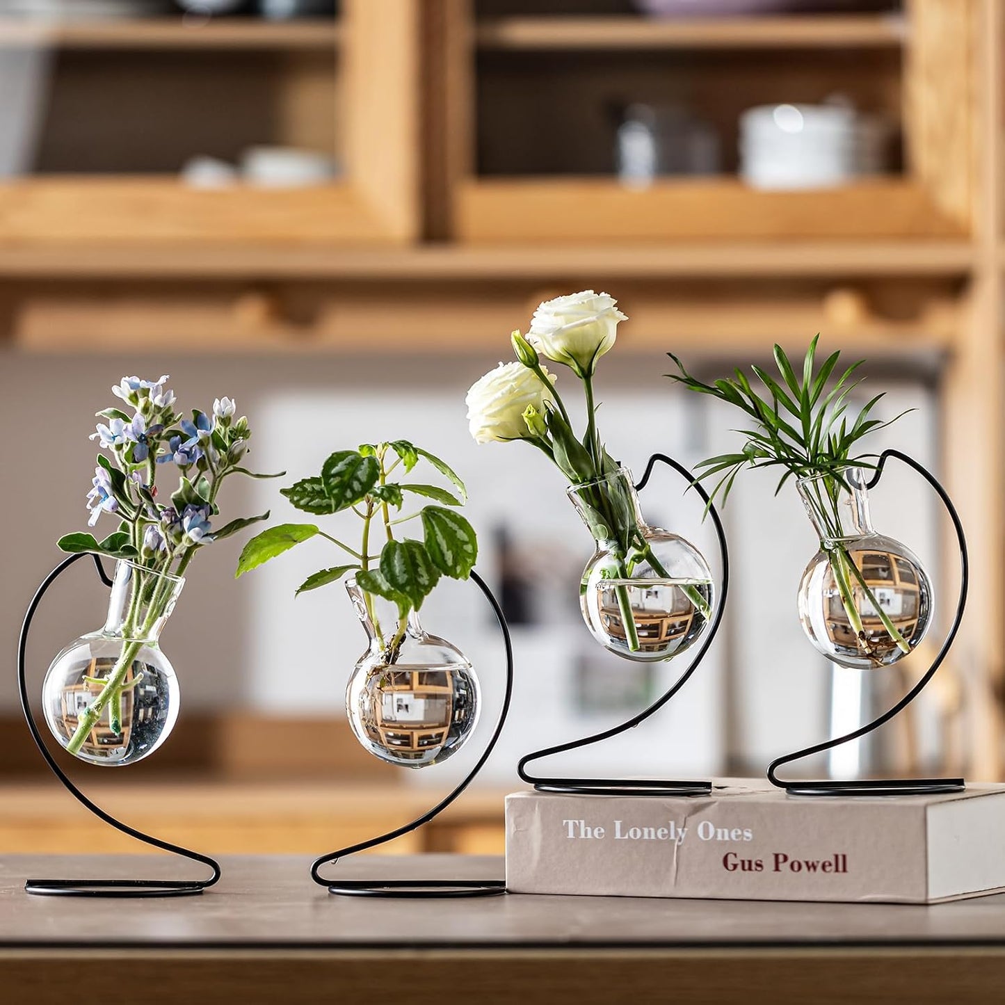 Soporte vidrio para plantas terrario oficina hogar